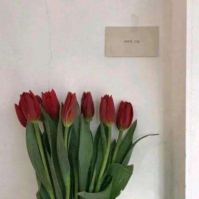 金沙官方版下载